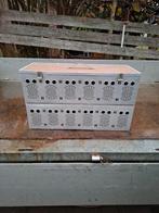 Duivenmand, 12 vaks, Dieren en Toebehoren, Mannelijk, Postduif