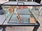 Terrarium hok 60x40x40 voor hamster, muizen of gebril, Minder dan 75 cm, Zo goed als nieuw, Ophalen, Minder dan 60 cm