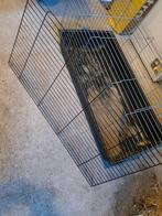 Kooi voor konijn, cavia of ander knaagdier., Kooi, Gebruikt, Cavia, 75 tot 110 cm
