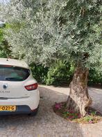 Renault Clio Energy TCe 90pk Eco2 S&S 2016 Wit, 898 cc, Stof, 40 €/maand, Zwart