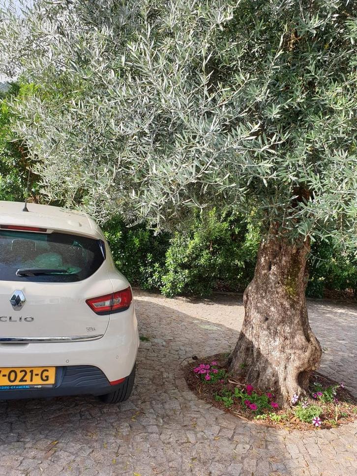 Renault Clio Energy TCe 90pk Eco2 S&S 2016 Wit, Auto's, Renault, Particulier, Clio, Achteruitrijcamera, Airbags, Airconditioning