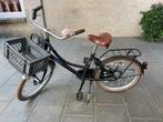 Alpina cargo meisjesfiets 20 inch, Fietsen en Brommers, Fietsen | Meisjes, Ophalen, Gebruikt, Alpina, Handrem