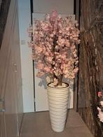 nieuwe bloesemboom, Ophalen of Verzenden, Nieuw