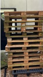 Europallets - 12 stuks - Nette staat - locatie: weesp, Ophalen
