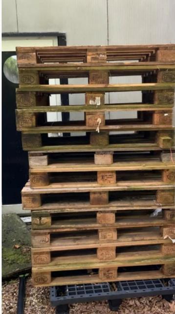 Europallets - 12 stuks - Nette staat - locatie: weesp beschikbaar voor biedingen