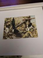 MARJOLEIN BASTIN.  NATUUR, Ophalen of Verzenden