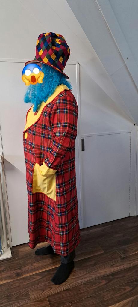 Clown Kostuum XL - Jas, Hoed incl pruik, Kleding | Heren, Carnavalskleding en Feestkleding, Ophalen