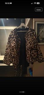 3 leuke ms mode jasjes, Ophalen, Wit, Zo goed als nieuw, MS Mode