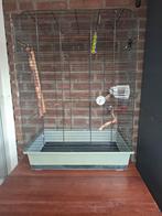 Vogel kooi, Verzenden, Zo goed als nieuw, Metaal, Vogelkooi