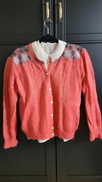 Vintage vest mohair wol, Ophalen of Verzenden, Gedragen, Maat 38/40 (M), Roze