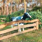 Polyester dieren, Holstein koe beeld, dierenbeelden, Ophalen, Nieuw, Kunststof, Dierenbeeld