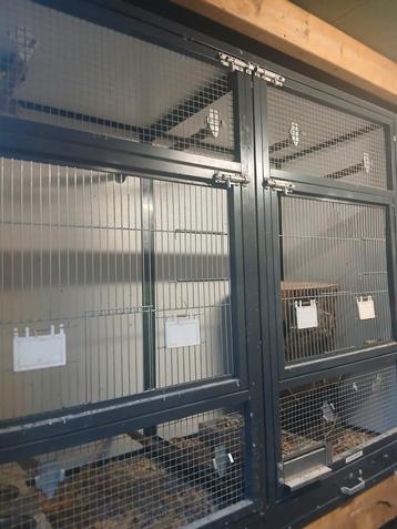 Vogelkooi beschikbaar voor biedingen
