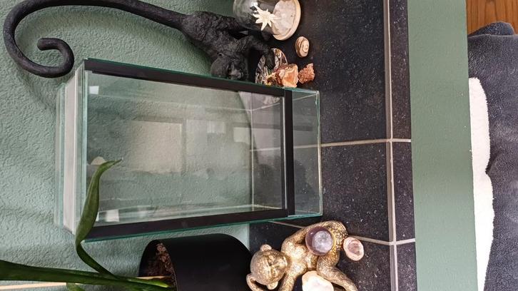 Terrarium wandelende takken, Dieren en Toebehoren, Reptielen en Amfibieën | Toebehoren, Zo goed als nieuw, Terrarium of Paludarium
