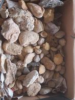 Fossil lot 2, Ophalen of Verzenden, Zo goed als nieuw