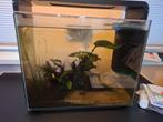 Superfish home 45, Dieren en Toebehoren, Vissen | Aquaria en Toebehoren, Ophalen, Gebruikt, Gevuld zoetwateraquarium
