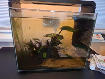Superfish home 45 beschikbaar voor biedingen