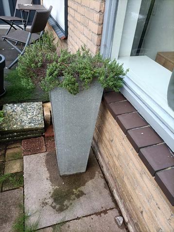 Stijlvolle plantenbak - Betonlook beschikbaar voor biedingen