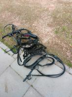 Te koop, Dieren en Toebehoren, Ophalen, Overige soorten