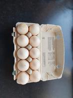 Te koop muskuseend broedeieren, Dieren en Toebehoren, Ophalen, Zo goed als nieuw, Overige typen