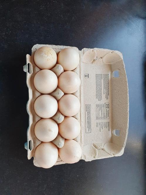 Te koop muskuseend broedeieren, Dieren en Toebehoren, Pluimvee | Toebehoren, Zo goed als nieuw, Overige typen, Ophalen