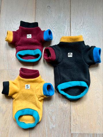 Hondentrui Handmade Chihuahua Boomer pup Naakthond Pom York beschikbaar voor biedingen