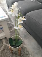 Orgidee, Ophalen, Zo goed als nieuw, Binnen