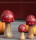 CLAYRE & EEF HOUTEN PADDENSTOELTJES - 3 AFMETINGEN, Huis en Inrichting, Woonaccessoires | Overige, Ophalen of Verzenden, Nieuw