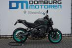 YAMAHA MT 09 (bj 2025) 1996 km UNIEK, 890 cc, Motorrijbewijs A, Bedrijf, Meer dan 35 kW