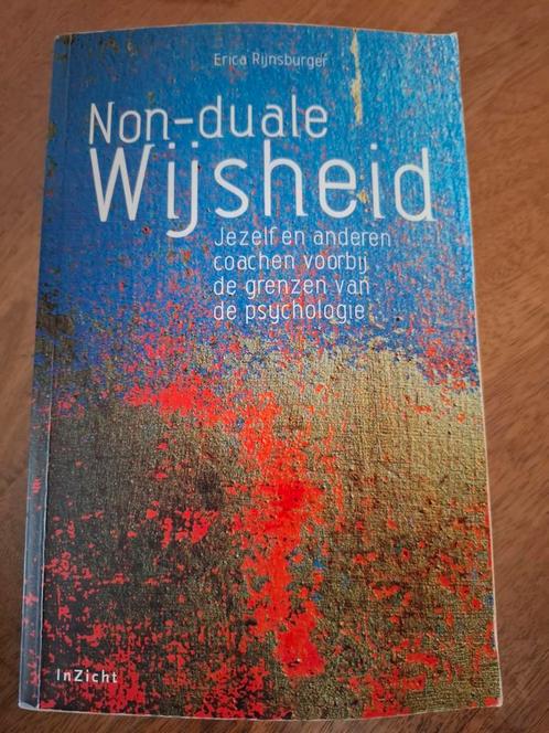 Non-duale Wijsheid - Erica Rijnsburger, Boeken, Psychologie, Gelezen, Overige onderwerpen, Ophalen of Verzenden