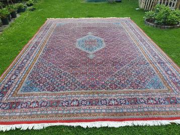 Prachtig handgeknoopt perzisch BIDJAR tapijt 300 x 400 cm beschikbaar voor biedingen