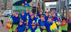 Papagaai of kippen pak 14 stuks, Kleding | Dames, Gedragen, Carnaval, Ophalen of Verzenden, Kleding