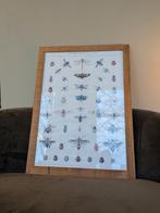 Massief houten fotolijst 77x57 met Histoire Naturelle Poster, Ophalen, Zo goed als nieuw, Overige typen