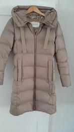 winterjas maat 36 Marco O'Polo, Kleding | Dames, Ophalen, Overige kleuren, Marco O'Polo, Zo goed als nieuw