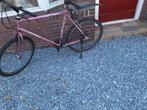 mountainbike merk Giant, Ophalen, Gebruikt, Heren, 49 tot 53 cm