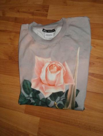 Mooi Art T-shirt Zara mt S valt als M (Magritte) z.g.a.n beschikbaar voor biedingen