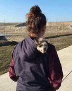 Liefdevol huisje aangeboden, Dieren en Toebehoren, Overige Dieren, Juni, Geslacht onbekend