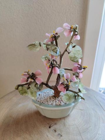 Vintage Bonsai Boompje beschikbaar voor biedingen