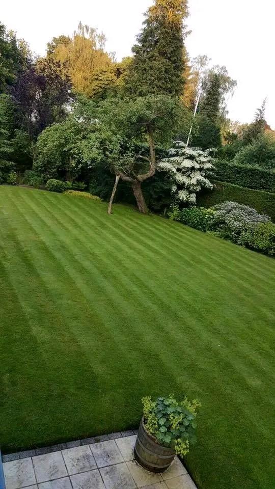 Tuinaanleg & tuinonderhoud Reimerswaal hoveniers, Tuin en Terras, Hand-tuingereedschap, Ophalen of Verzenden