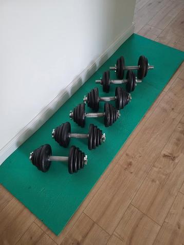 Complete halterset (6 halters) in totaal 84kg beschikbaar voor biedingen