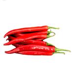 Spaanse peper, Tuin en Terras, Planten | Tuinplanten, Ophalen, Volle zon, Groenteplanten, Eenjarig