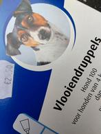 Bolfo Gold vlooienmiddel 4 pipetten hond 4-10kg, Ophalen of Verzenden, Nieuw