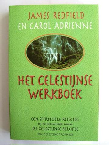 Het Celestijnse Werkboek  -  James Redfield beschikbaar voor biedingen