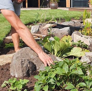 Tuinman / Hovenier aangeboden! Groenvoorziening. beschikbaar voor biedingen