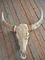 Gegraveerde Buffel schedel / Buffalo skull, Huis en Inrichting, Ophalen of Verzenden, Zo goed als nieuw