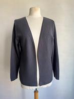 zoso vest grijs maat m, Kleding | Dames, Truien en Vesten, Maat 38/40 (M), Verzenden, Zo goed als nieuw, Grijs