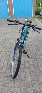 Citybike weinig gebruikt groen paars technisch helemaal goed, 24 inch of meer, Gebruikt, Staal, Ophalen
