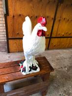 Tuin accessoires haan, Dieren en Toebehoren, Vogels | Duiven, Mannelijk, Overige soorten