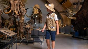 Historyland hellevoetsluis tweede kaartje gratis beschikbaar voor biedingen