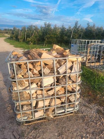 Droog Gekloofd populierenhout beschikbaar voor biedingen