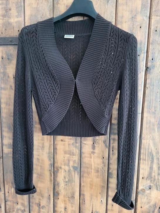 Prachtige bolero/vestje maat 40, Kleding | Dames, Tops, Nieuw, Maat 38/40 (M), Lange mouw, Ophalen of Verzenden